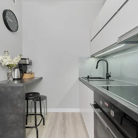 Odra Tower With Free Garage By Renters Apartment