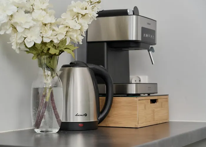 דירה Odra Tower With Free Garage By Renters